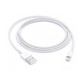 Apple Lightning to USB-A Cable (1m)