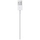 Apple Lightning to USB-A Cable (1m)