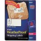 Avery 5523 Wthrproof Mailing Labels Address 2Inch X4Inch 500 Pk
