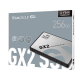 TeamGroup SSD GX2 256GB 